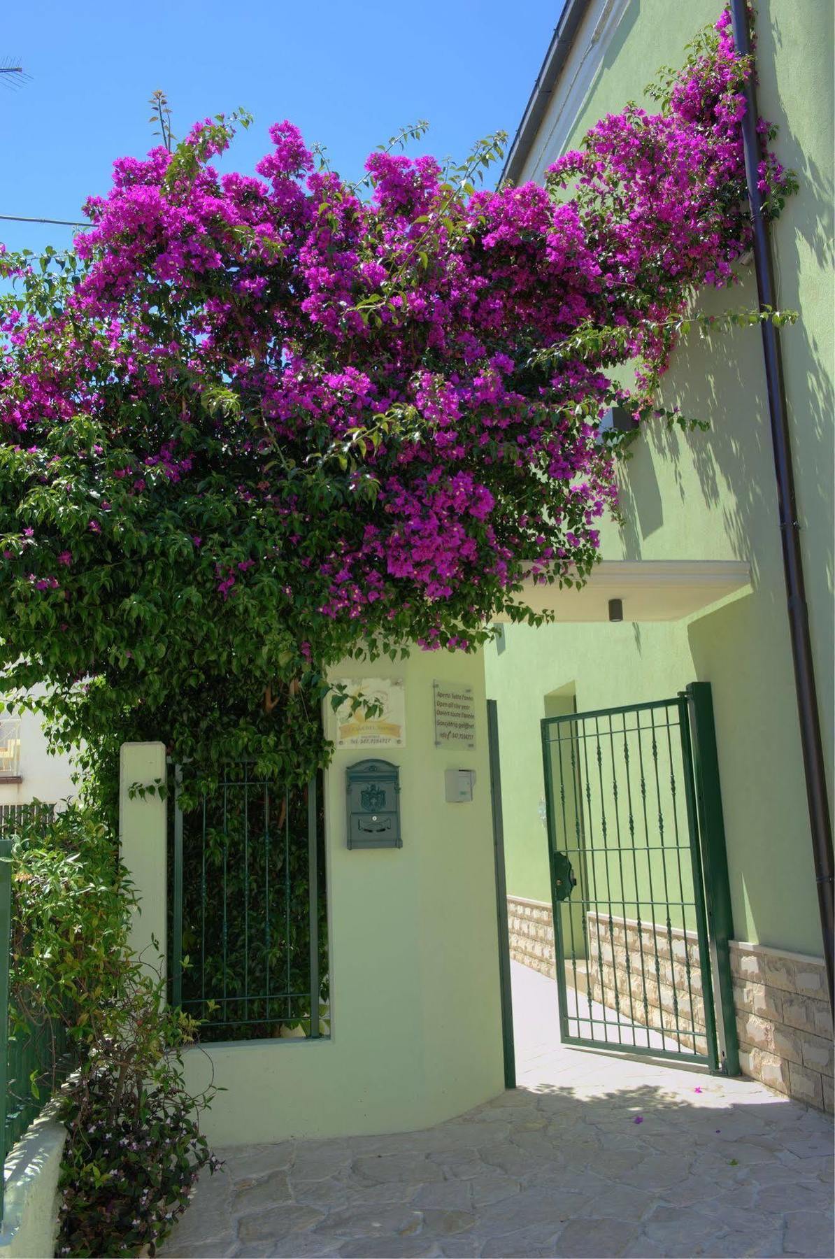La Casa Del Nonno Bed & Breakfast Campomarino  Exterior photo